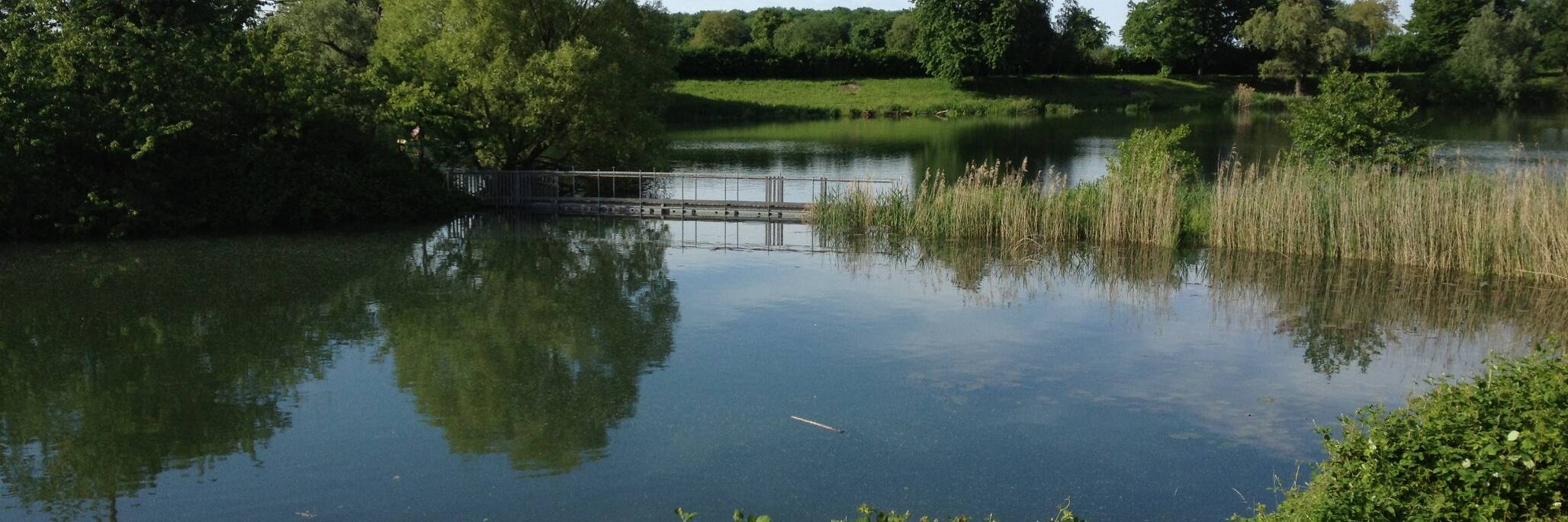 ANGELVEREIN UNTERER BREISGAU e.V- RIEGEL